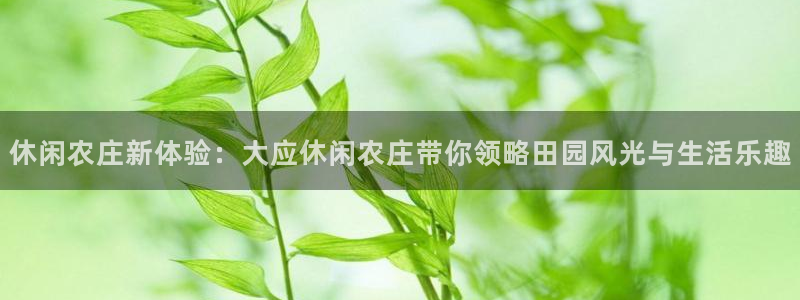 天顺娱乐分943994