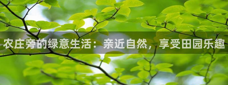 天顺娱乐丝砂70648