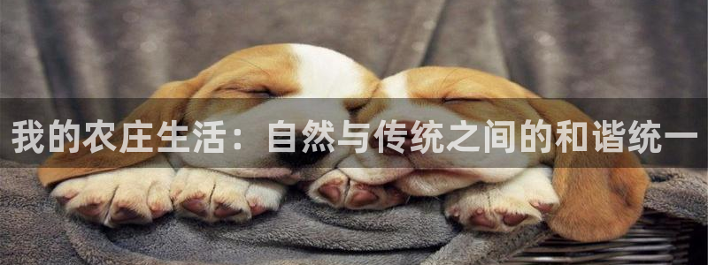 天顺娱乐历和p官29999