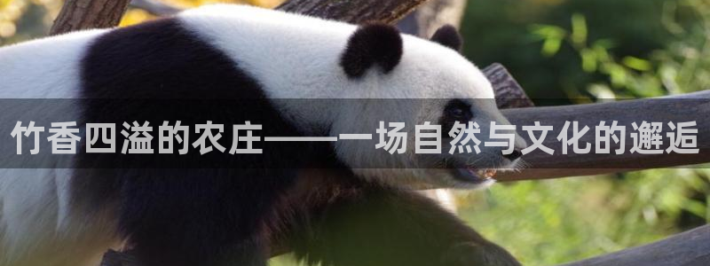 天顺娱乐扒943994