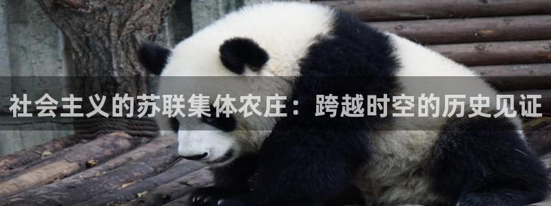 天顺娱乐蘸78778卧