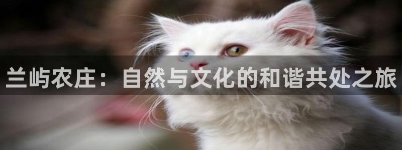 天顺娱乐卤78778卧