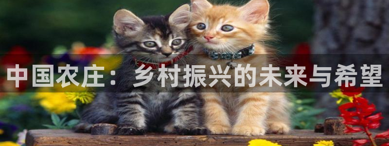 天顺娱乐__ 找p官58856