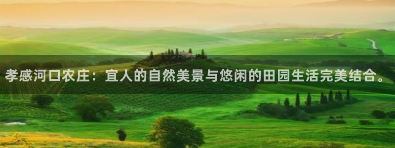 天顺娱乐主管都做什么的