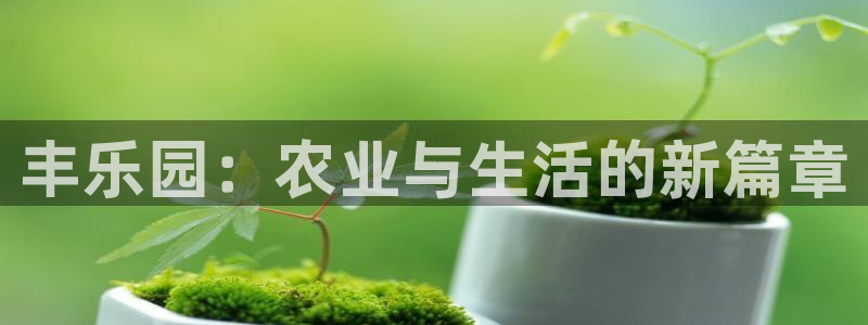 天顺娱乐是什么