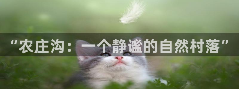 天顺娱乐椎70 48