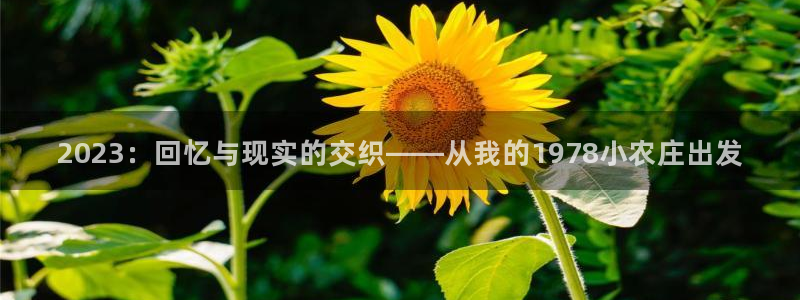 天顺娱乐负责人二笃pg22650