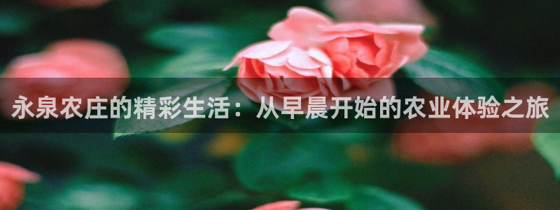 天顺娱乐甘撑70648