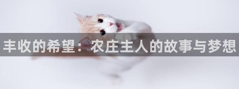 天顺娱乐论品判p29999