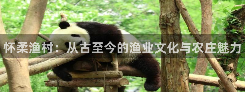 天顺娱乐沦72182