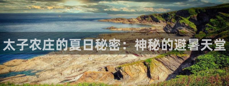 天顺娱乐来联p官29999