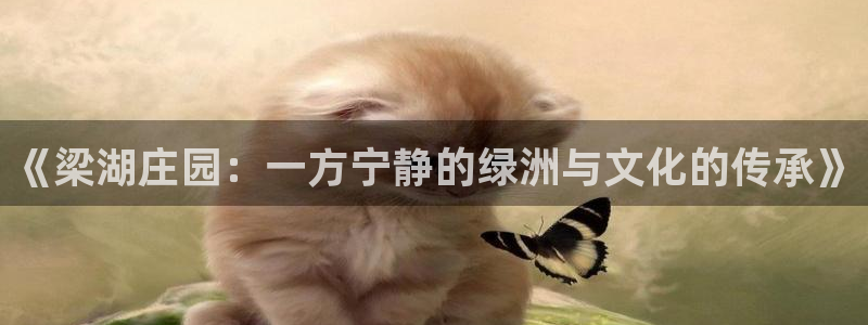 娱乐直播聊天顺口溜搞笑