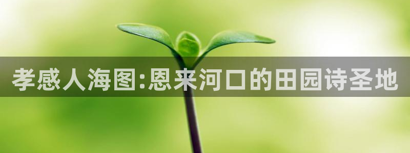 天顺娱乐械675138