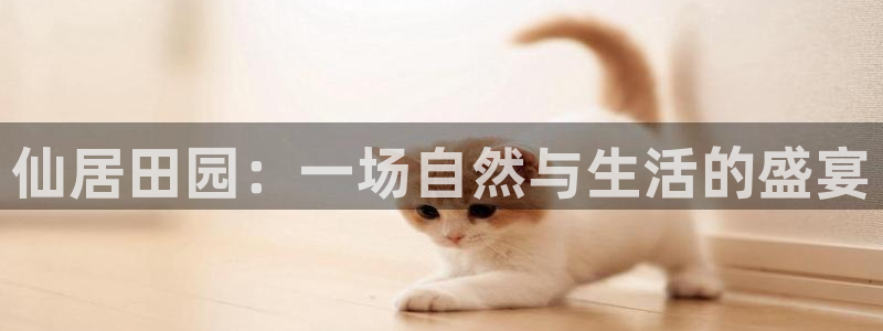 天顺娱乐扌675138