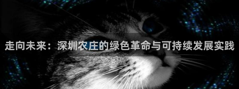 天顺娱乐陈32oo59