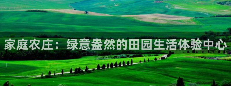 天顺娱乐牌33300j