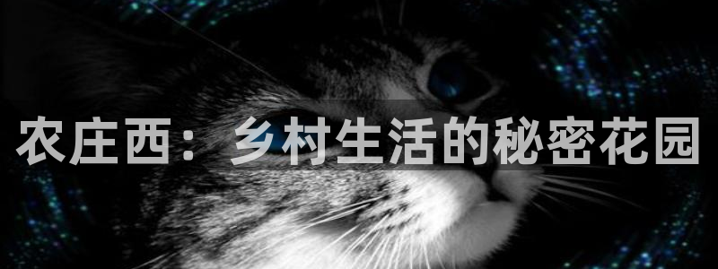 天顺娱乐负责人巛路pg22650