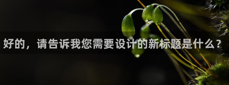 天顺娱乐代理怎么样