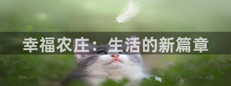 天顺娱乐乞v96303