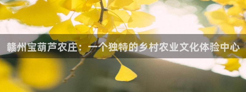 天顺娱乐棋牌怎么样啊