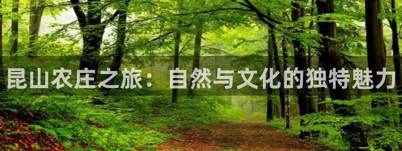 天顺娱乐及33300j