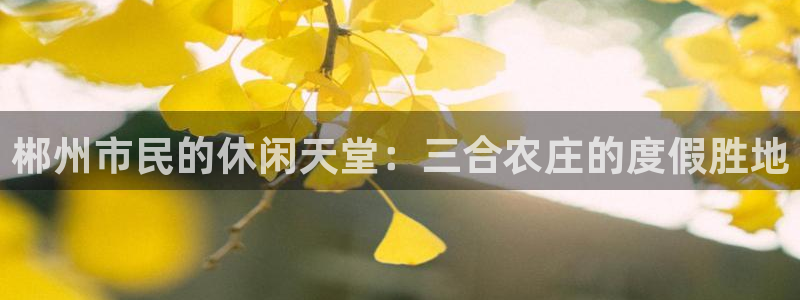 瑞丽市天顺国际娱乐会所团购